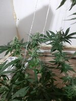 20260209_063415.jpg 20260209_063415.jpg