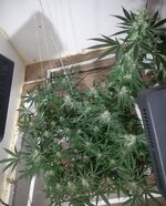 20260209_064912.jpg 20260209_064912.jpg