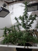 20260209_065002.jpg 20260209_065002.jpg