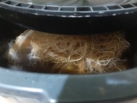 20260209_064945.jpg 20260209_064945.jpg