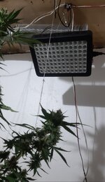 20260209_064926.jpg 20260209_064926.jpg