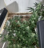 20260209_070603.jpg 20260209_070603.jpg