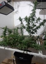 20260209_070544.jpg 20260209_070544.jpg