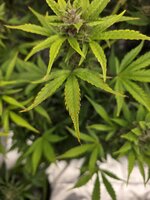 20260209_125807.jpg 20260209_125807.jpg