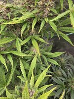 20260209_125826.jpg 20260209_125826.jpg