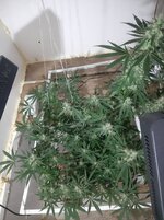 20260210_060139.jpg 20260210_060139.jpg