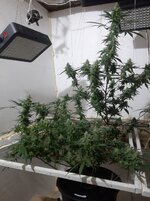 20260210_060126.jpg 20260210_060126.jpg