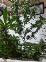 20260210_060019.jpg 20260210_060019.jpg