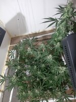 20260210_061218.jpg 20260210_061218.jpg