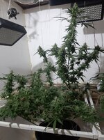 20260210_061206.jpg 20260210_061206.jpg