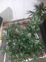 20260210_061506.jpg 20260210_061506.jpg