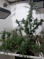 20260210_061455.jpg 20260210_061455.jpg