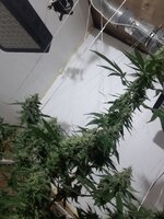 20260210_061429.jpg 20260210_061429.jpg