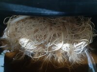 20260210_061443.jpg 20260210_061443.jpg