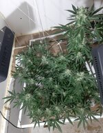 20260210_063100.jpg 20260210_063100.jpg