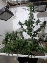 20260210_063113.jpg 20260210_063113.jpg