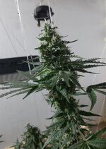 20260210_063047.jpg 20260210_063047.jpg