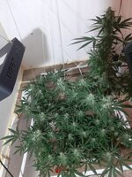 20260210_063448.jpg 20260210_063448.jpg