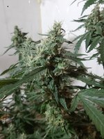 20260210_063413.jpg 20260210_063413.jpg