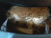 20260210_063400.jpg 20260210_063400.jpg