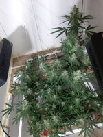 20260210_064843.jpg 20260210_064843.jpg