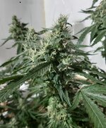 20260210_064819.jpg 20260210_064819.jpg