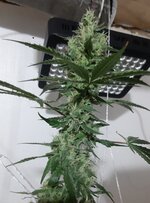 20260210_064807.jpg 20260210_064807.jpg