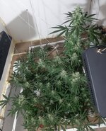 20260211_052103.jpg 20260211_052103.jpg