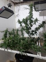 20260211_052136.jpg 20260211_052136.jpg