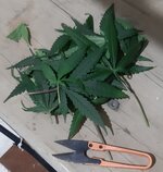 20250919_071523.jpg 20250919_071523.jpg