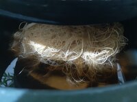 20260211_052122.jpg 20260211_052122.jpg