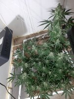 20260211_052911.jpg 20260211_052911.jpg