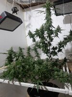 20260211_052901.jpg 20260211_052901.jpg