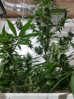 20260211_052834.jpg 20260211_052834.jpg