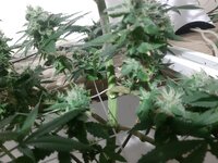 20260211_052814.jpg 20260211_052814.jpg