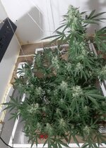 20260211_053449.jpg 20260211_053449.jpg