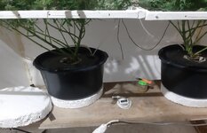 20260211_053424.jpg 20260211_053424.jpg