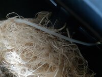 20260211_053410.jpg 20260211_053410.jpg