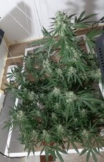 20260211_055919.jpg 20260211_055919.jpg