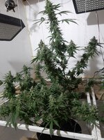 20260211_055933.jpg 20260211_055933.jpg