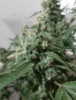 20260211_055906.jpg 20260211_055906.jpg