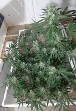 20260211_060213.jpg 20260211_060213.jpg