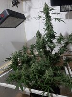 20260211_060235.jpg 20260211_060235.jpg