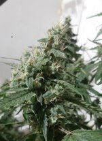 20260211_060146.jpg 20260211_060146.jpg