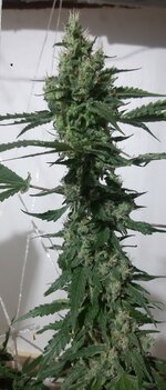 20260211_060159.jpg 20260211_060159.jpg