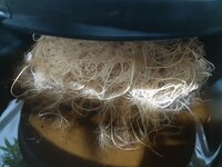 20260211_060223.jpg 20260211_060223.jpg