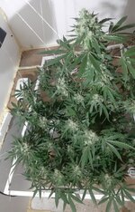 20260211_060953.jpg 20260211_060953.jpg