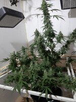 20260211_061005.jpg 20260211_061005.jpg