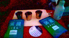 в рюмках.jpg в рюмках.jpg