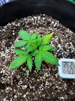 photo_2026-02-12_00-32-34 (2).jpg